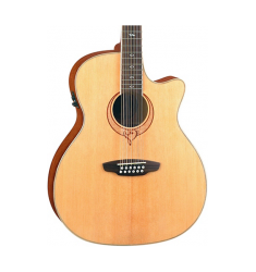 Luna Guitars Heartsong 12-String Acoustic-Electric Guitar With USB Natural