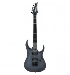 Ibanez RGA Iron Label RGAIX6FM in Transparent Gray Flat