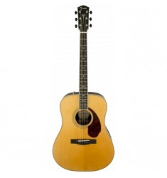 Fender PM-1 Standard Dreadnought, Natural